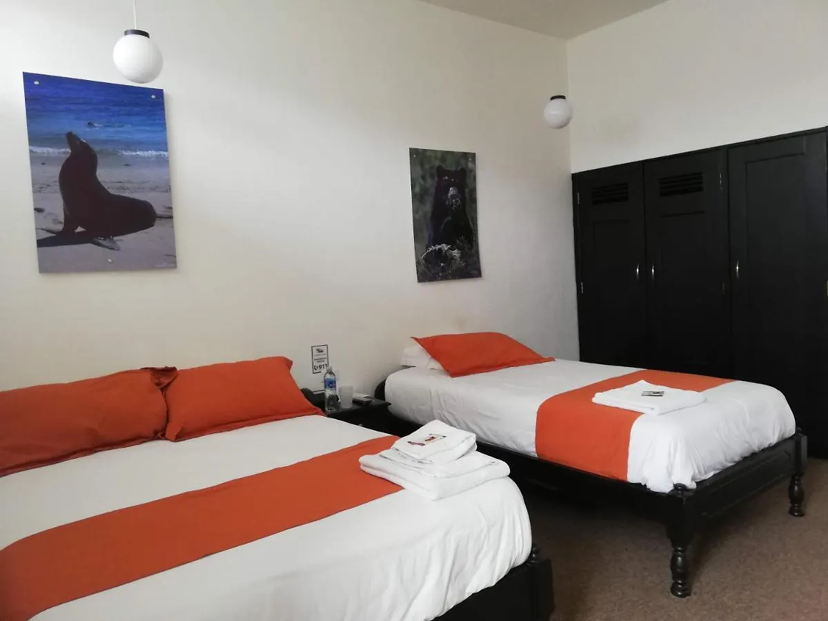 Hostal Joan Sebastian Κίτο 3*,  Ισημερινός